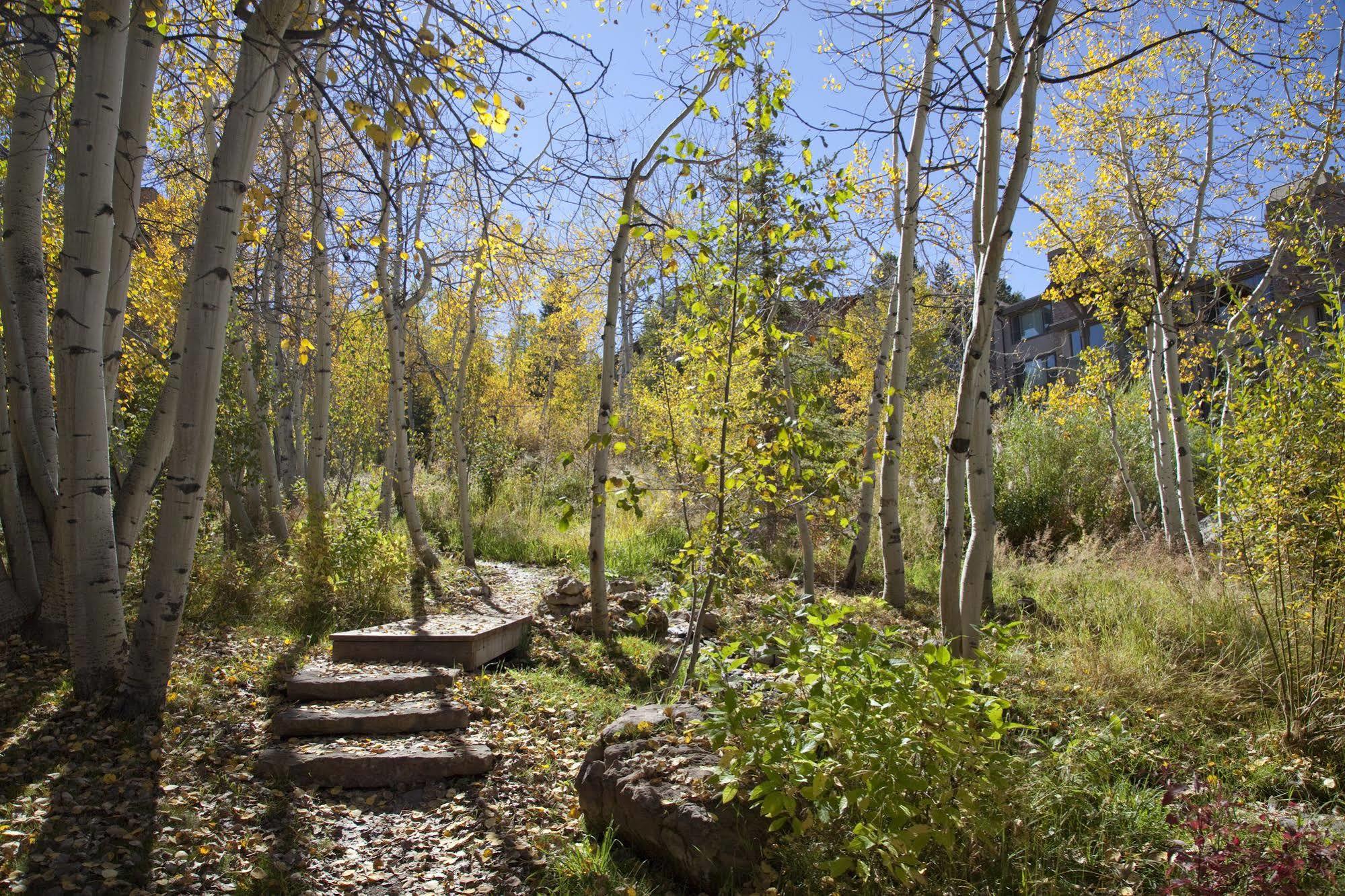 Terracehouse - Coraltree Residence Collection Snowmass Village Exteriér fotografie